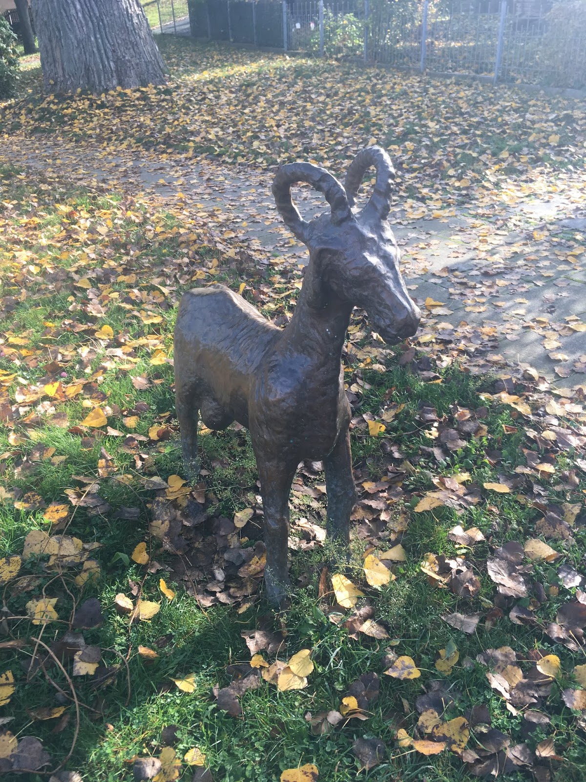 Reisetageblog Iglus Berge Und Alpakas Weihnachts Trip Ins Erzgebirge