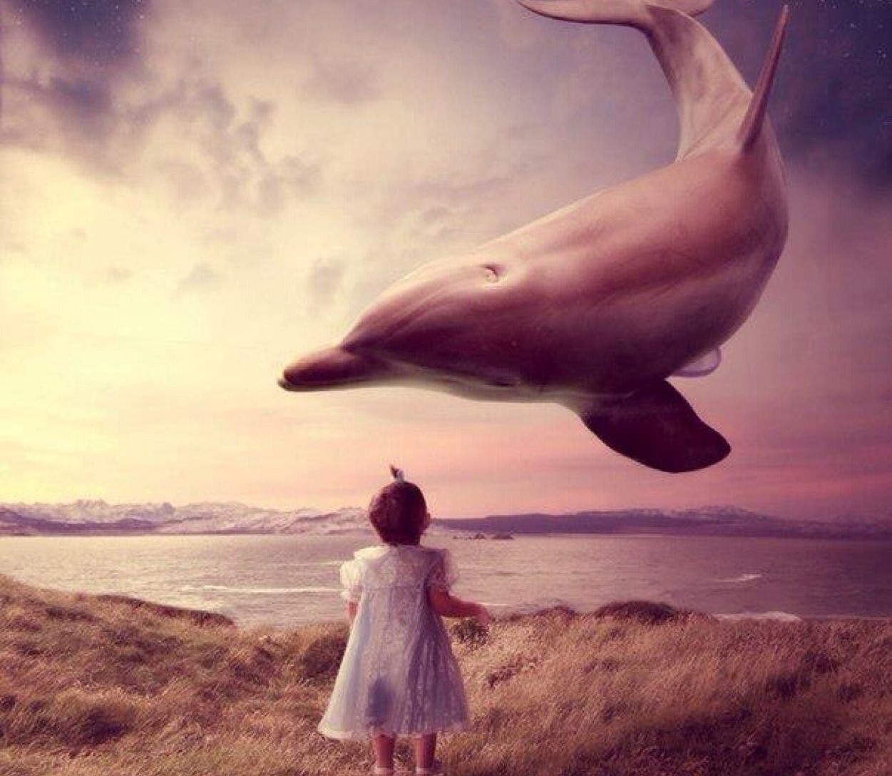 О чем мечтают птицы. Сюрреализм дельфины. Воображение и реальность. Летающие дельфины. Чудо сюрреализм.