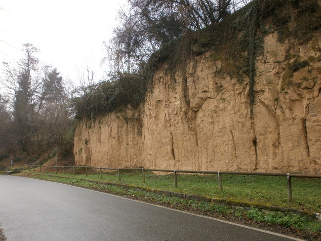 Wege in der Region Stuttgart Naturdenkmal 