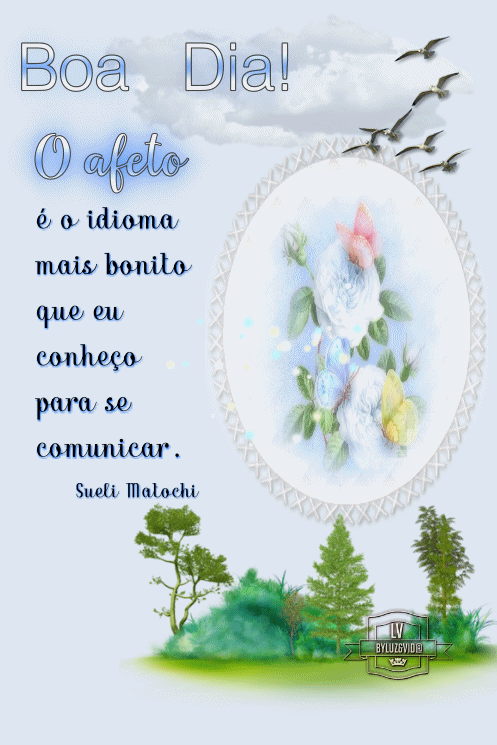 NOVO117--%2528MB%2529maryluz.gif