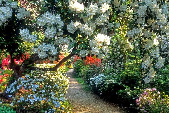 Mirando al mundo con sentimientos: Los espectaculares jardines de