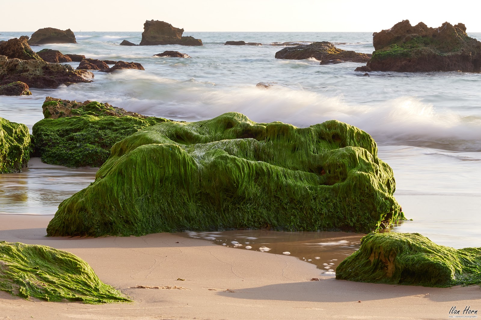 Mossy Rock by the Sea