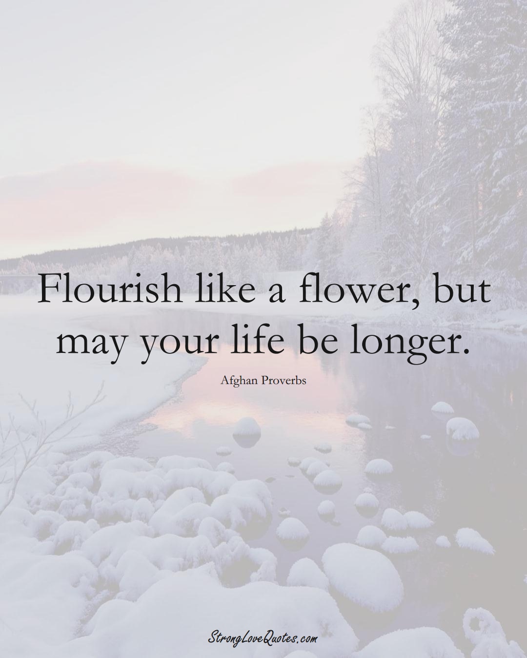 Flourish like a flower, but may your life be longer. (Afghan Sayings);  #AsianSayings