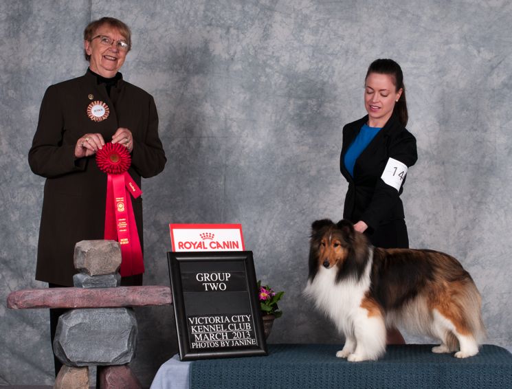 KelLani Shelties Victoria City Kennel Club Show News!