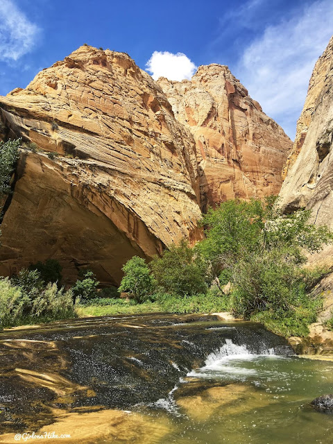 Backpacking Death Hollow, Escalante, Grand Staircase Escalante National Monument Backpacking Death Hollow, Escalante, Grand Staircase Escalante National Monument