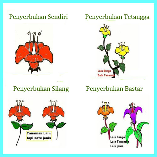 Perkembangbiakan Generatif Pada Tumbuhan