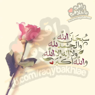 shof_6cece9e883b0056