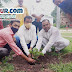 गिद्धौर पंचमन्दिर में BJP कार्यकर्ताओं ने किया पौधरोपण, 6 जुलाई तक चलेगा कारवां