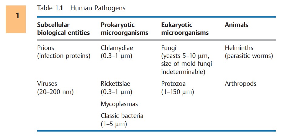 Maladies infectieuses et pathogènes  BioEduc