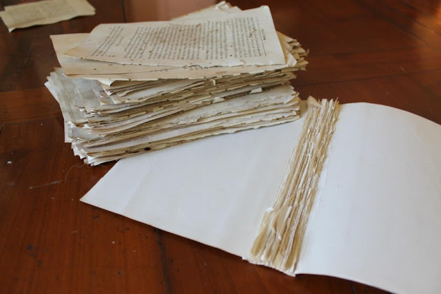 tear pages out of books