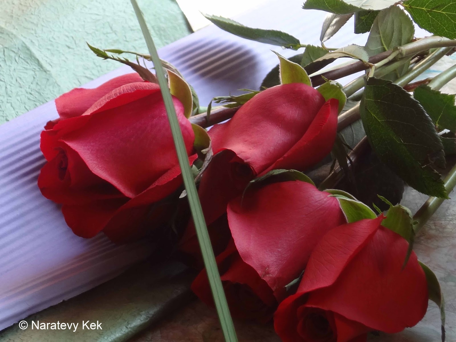 Send flowers on Valentine's Day Valentine flower delivery Flowers