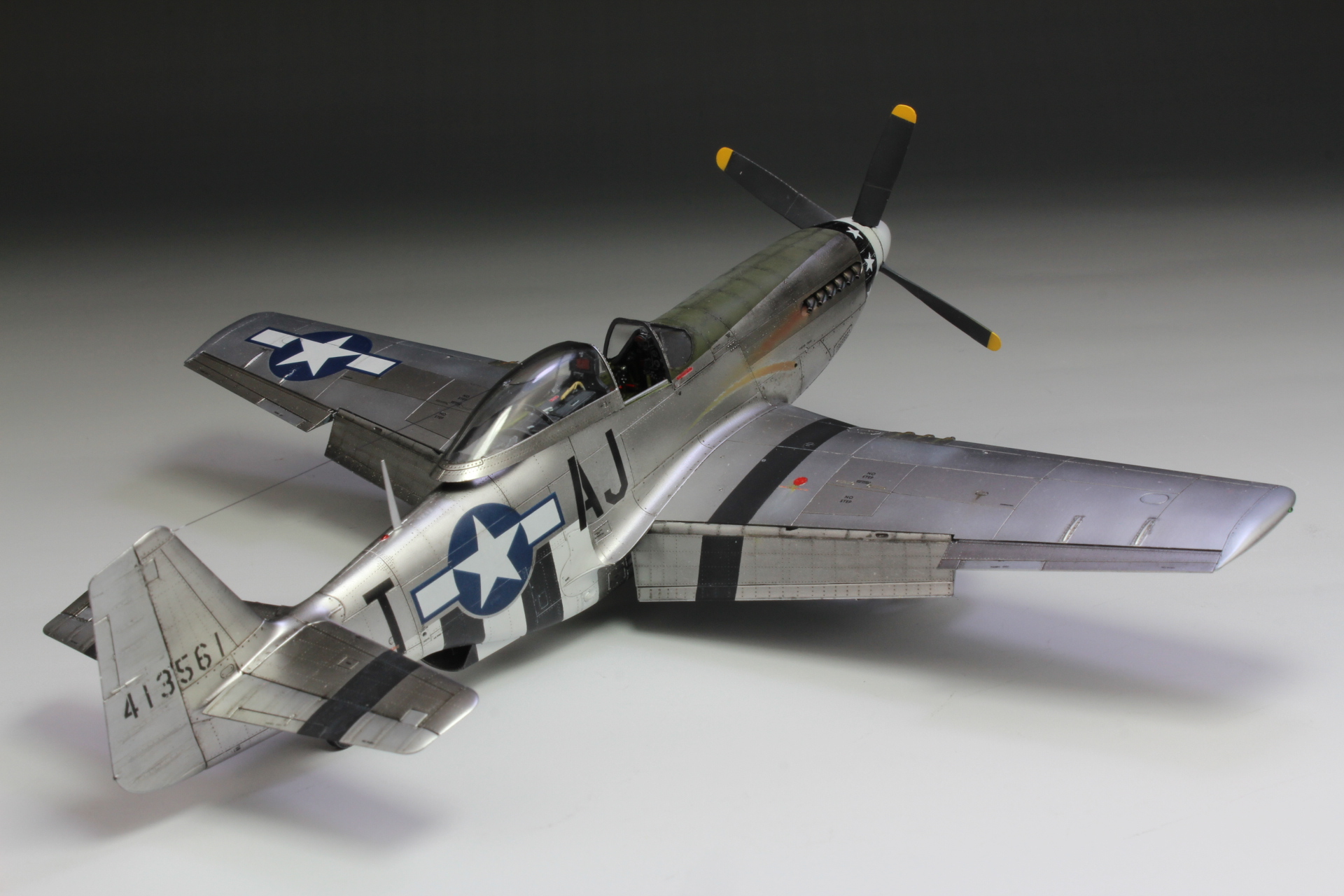 Confederate Fighter Combat p51 g2
