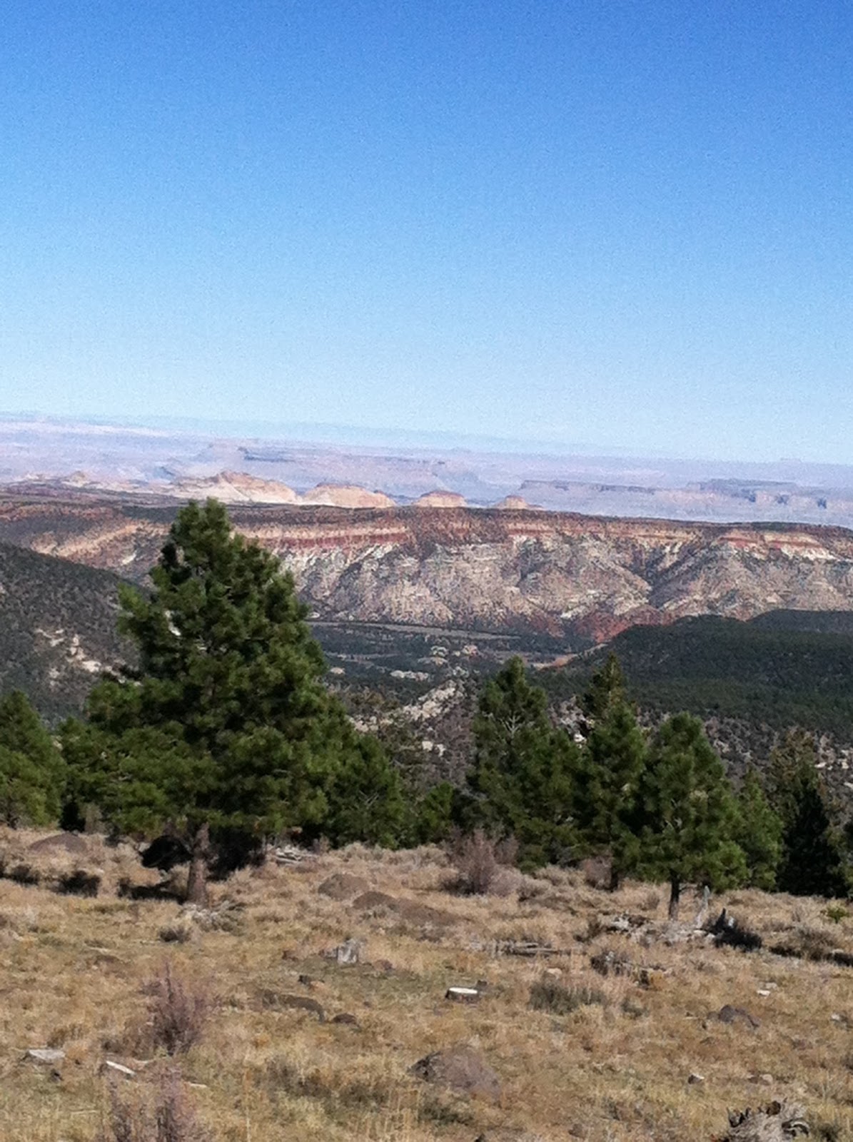 The Moon Hut Project