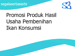 Promosi Produk Hasil Usaha Pembenihan Ikan Konsumsi - SERBA SERBI
