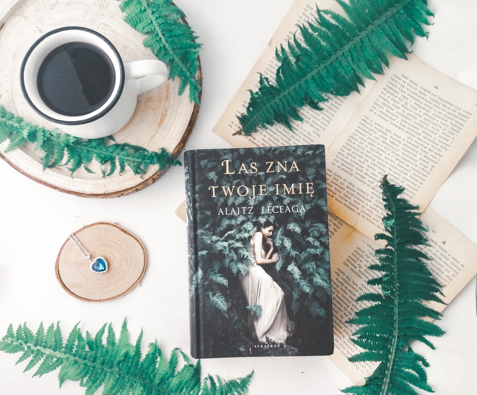 Jedna Z Gwiazd Co Twoje Imie Ma STELLIANA NISTOR