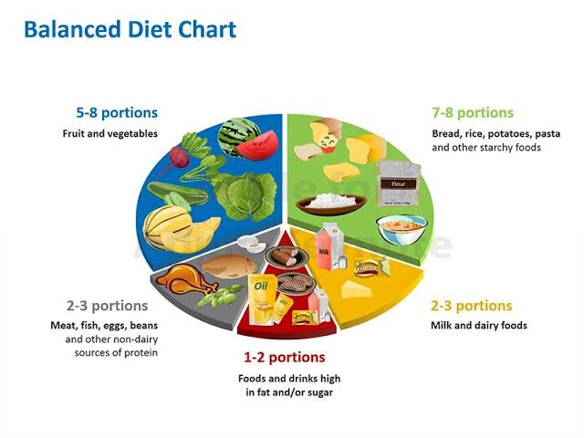 Daily Balanced Diet Chart