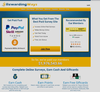 Paid surveys, work from home jobs.