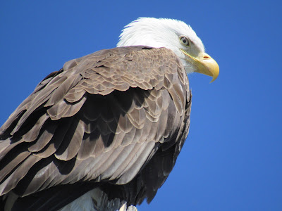 Tule Lake National Wildlife Refuge California