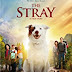 Sinopsis Film The Stray (2017) : drama keluarga dengan seekor anjing