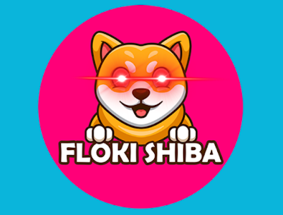 Mengetahui Alamat Contracts Coin Floki Shiba (FSHIB)