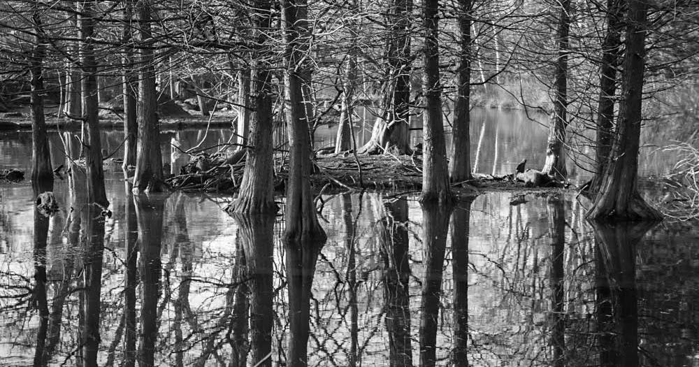 Custom Wall Murals For Walls: Black and White Wallpaper for Walls