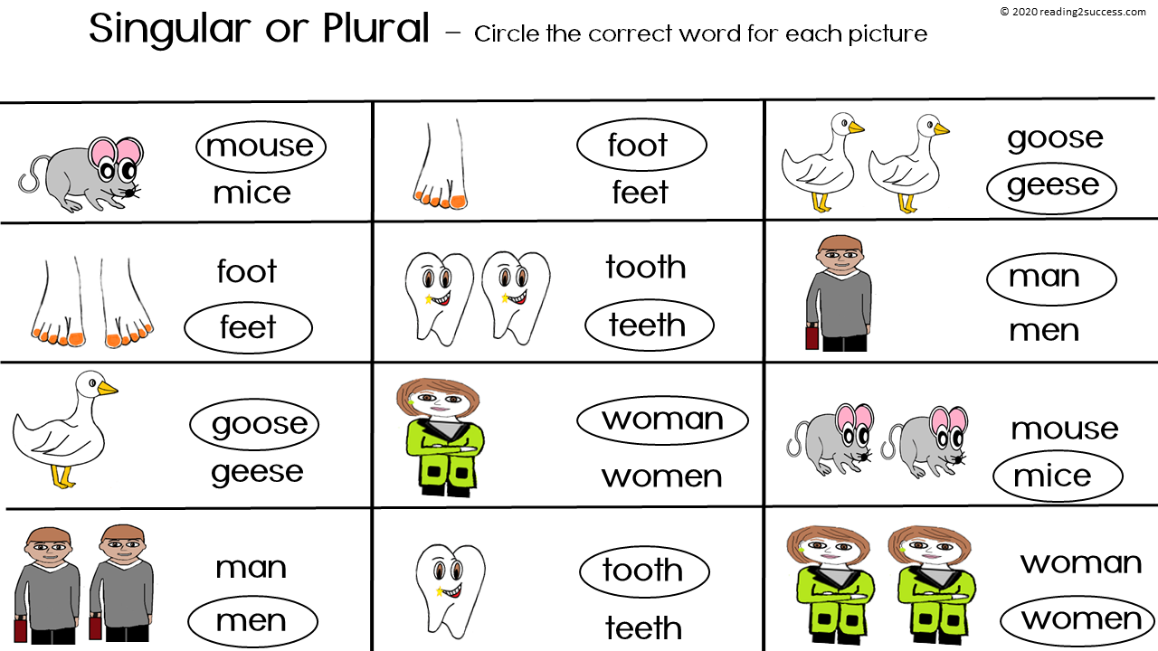 Wordwall plurals spotlight 3. Singular and plural Nouns исключения. Irregular plurals таблица. Singular and plural Nouns Irregular. Irregular plurals для детей.