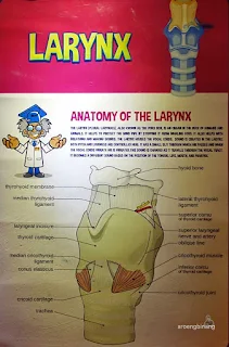 human body adventures