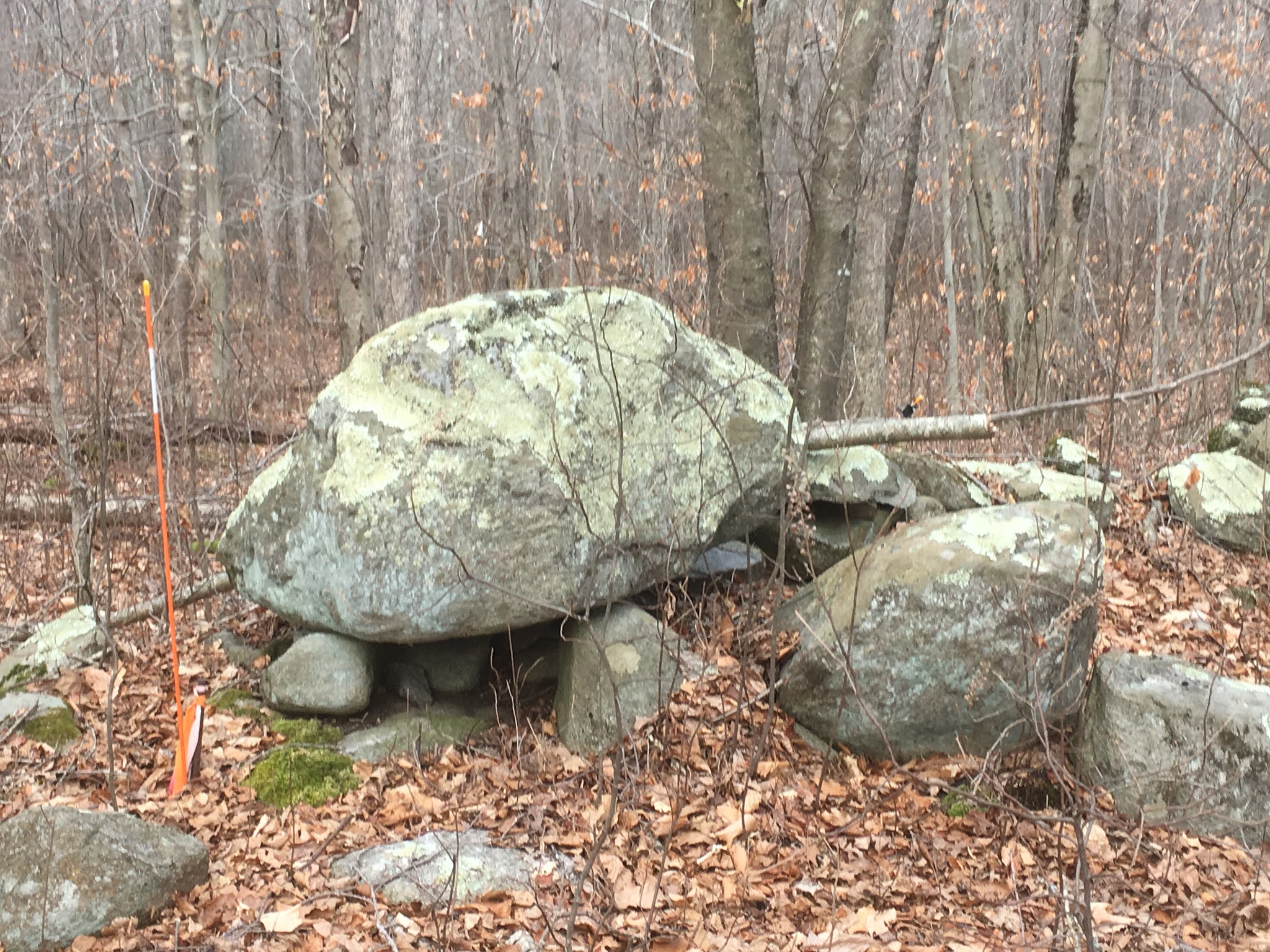 Focus On Killingworth, CT and Surrounding Towns