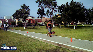 Taller Educativo Mi Leal Compañero y Yo 