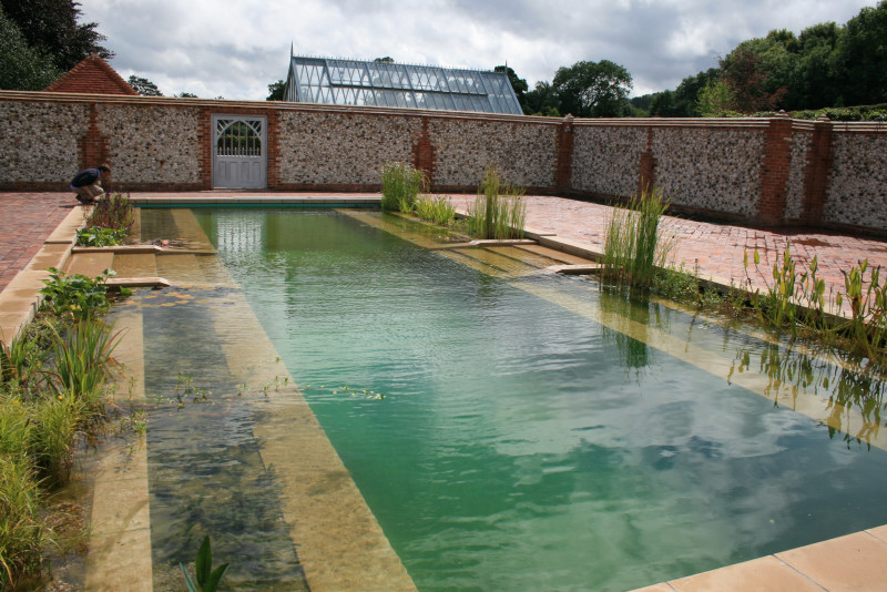 Natural Swimming Pool