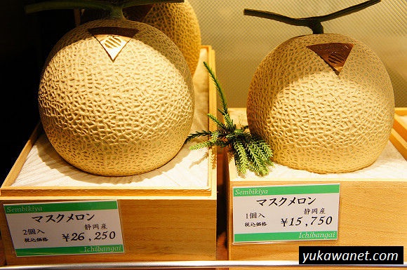 Fakta Tentang Jepang