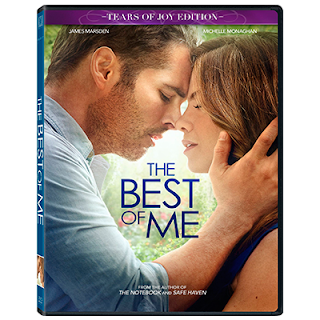 The Best of Me 2014 dvdr