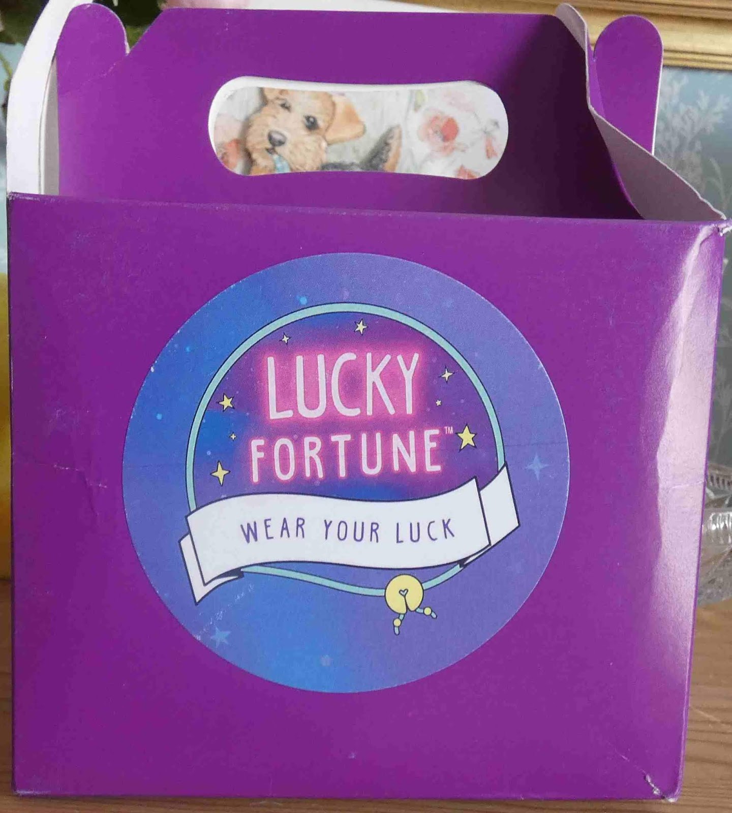 Madhouse Family Reviews Lucky Fortune bracelets collectibles review