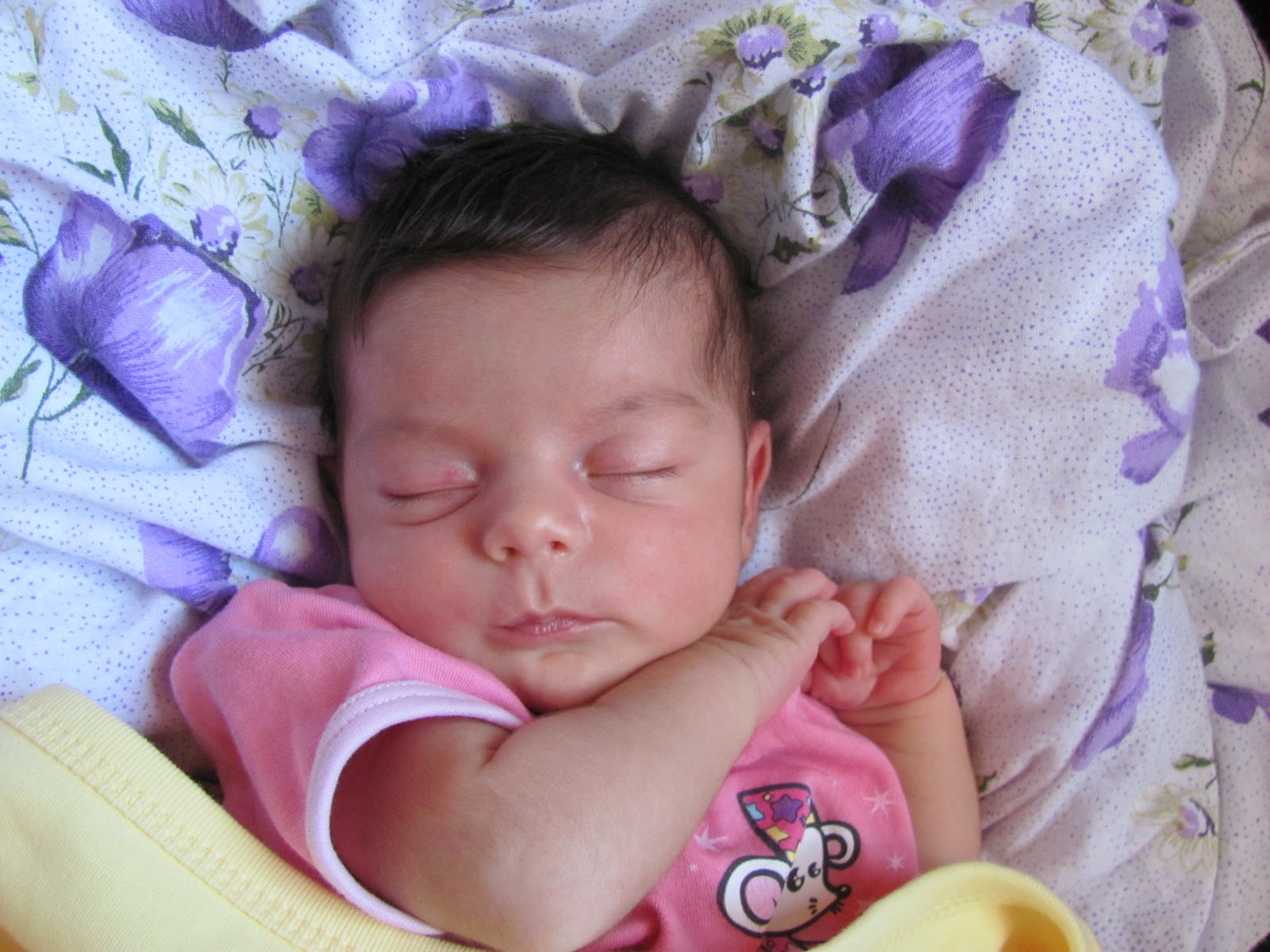 Karavan Bahçe ZEYNEP bebek