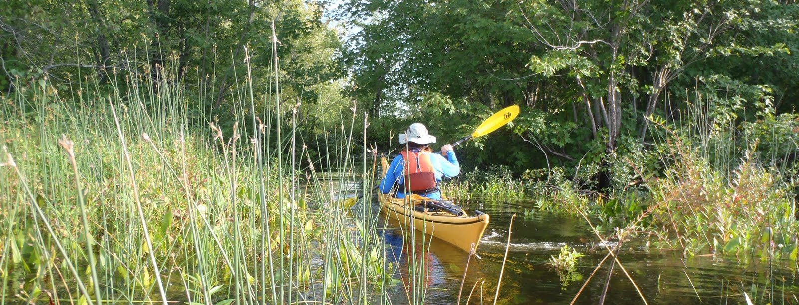 PenobscotPaddles Hermon Pond and the tranquility of small streams