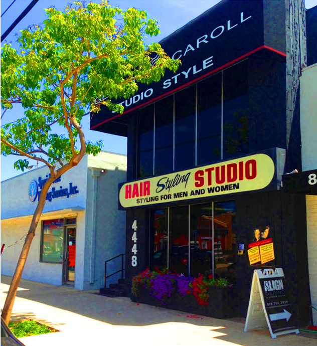 Caroll / Hollywood Hair Stylist Caroll Hair Salon For Sale