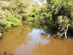 RENAULT APOIA CONSERVAÇÃO E RESTAURAÇÃO DO RIO MIRIMGUAVA