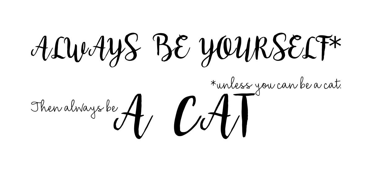 Polyvore finds Always be yourself... unless you can be a cat