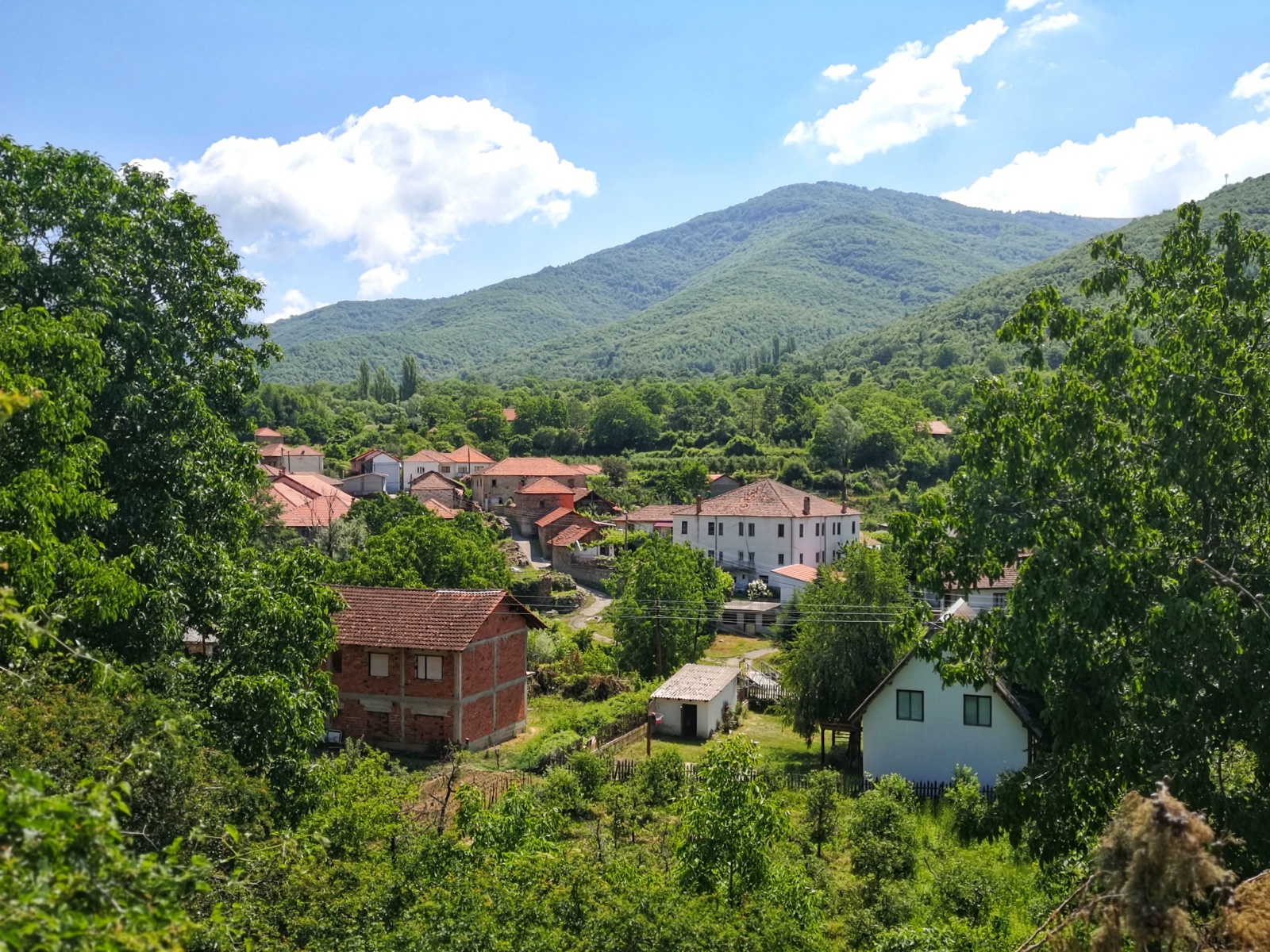 Saw this, did that. Travel day to Bitola, North Macedonia