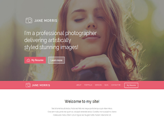 шаблоны WordPress Photographer Portfolio