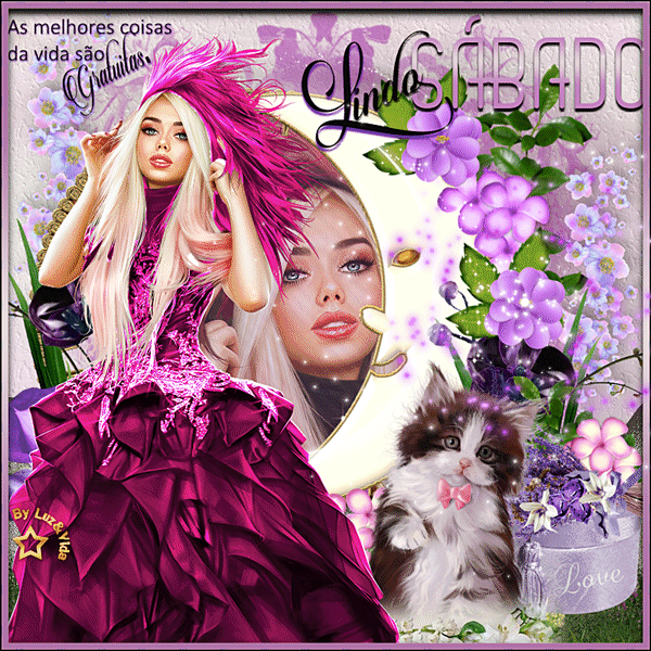 novo608%2B%2528MB%2529maryluz.gif