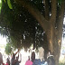 Man Commits Suicide In Awka, Hangs On A Mango Tree - Very Graphic Photos