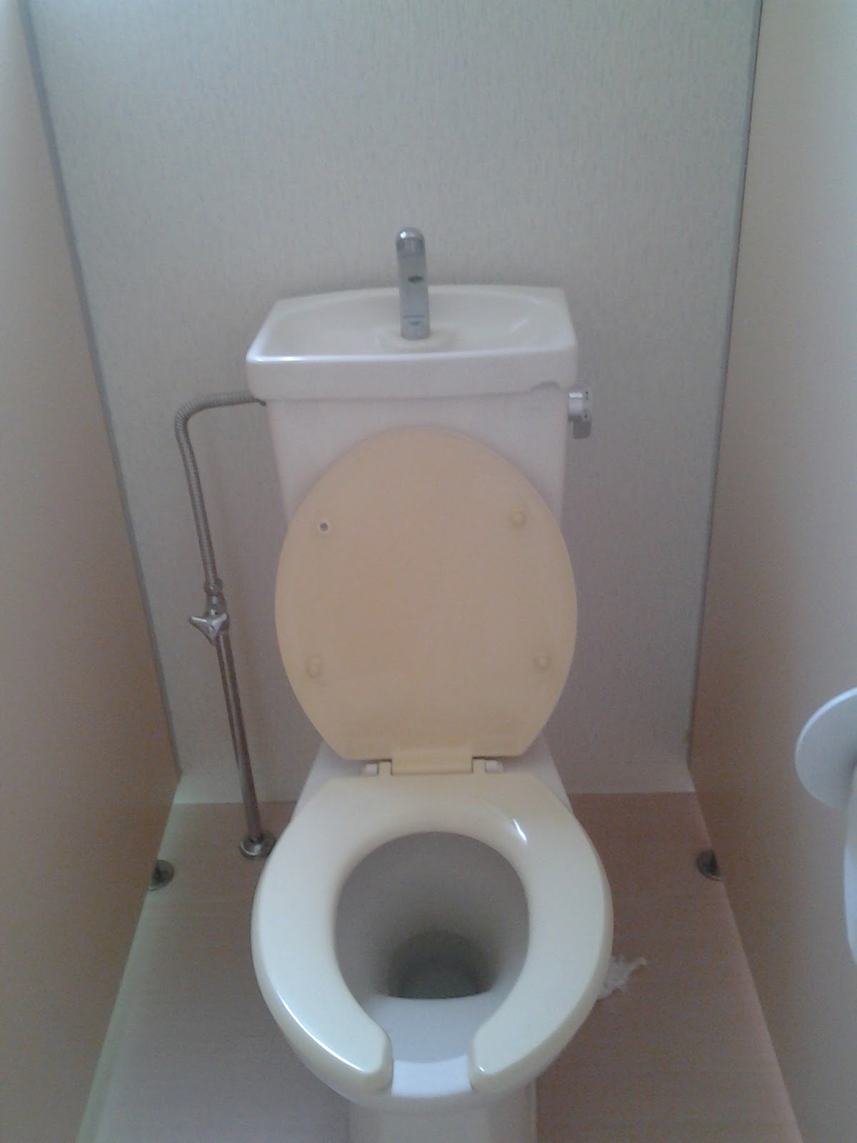 A Jaunt through Japan The Mandatory Japanese Toilet Post