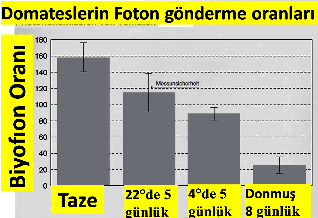 Doğadaki oluşum mekanizması, hayat nedir, tanrıyı anlamak