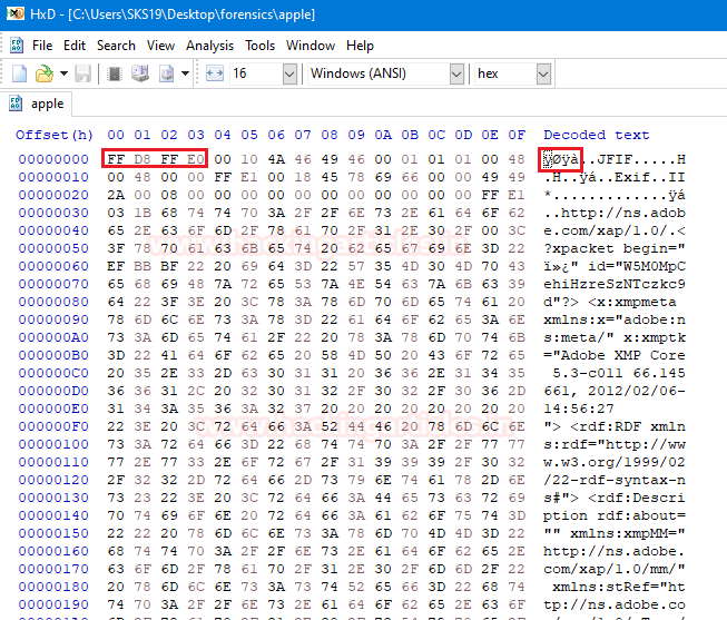 Forensic Investigation of Corrupted File Extension