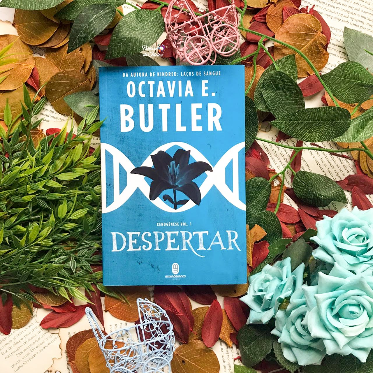 simile inkindred by octavia e butler simile inkindred by octavia e butler