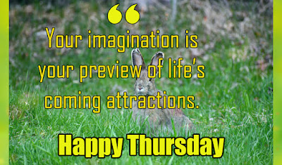 Thursday quotes. Don't forget to share these Thursday quotes with your friends and families