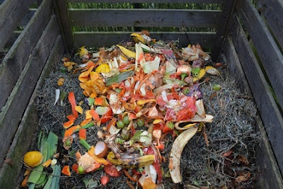 Green waste compost bin How to Go Green