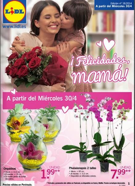 lidl catalogo felicidades mama 2014