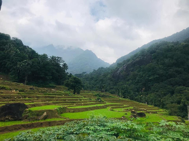 මීමූරේ ආරණ්‍ය සේනාසනය ☸️🙏😇 (Meemure Aranya Senasanaya) - Your Choice Way